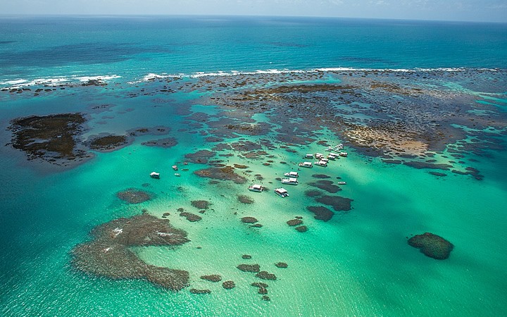 1601509246445.jpg 1601509246445.jpg