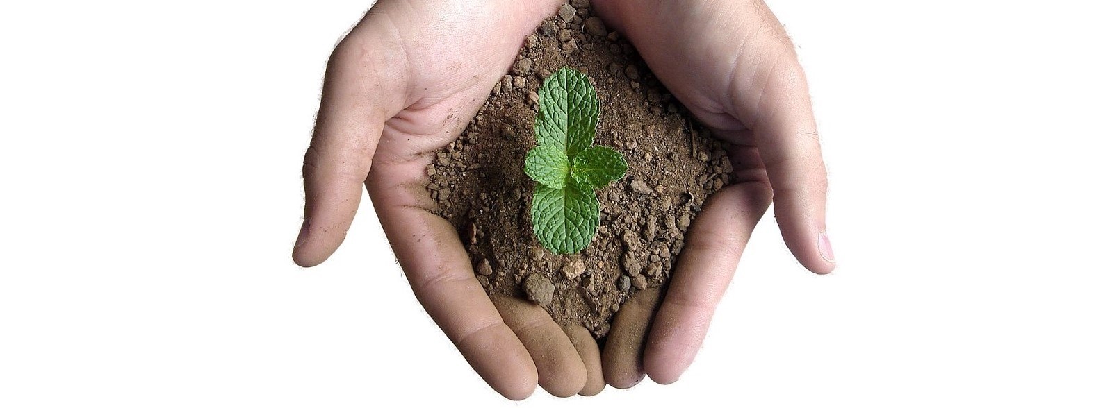 Texto relativo ao alt do curso