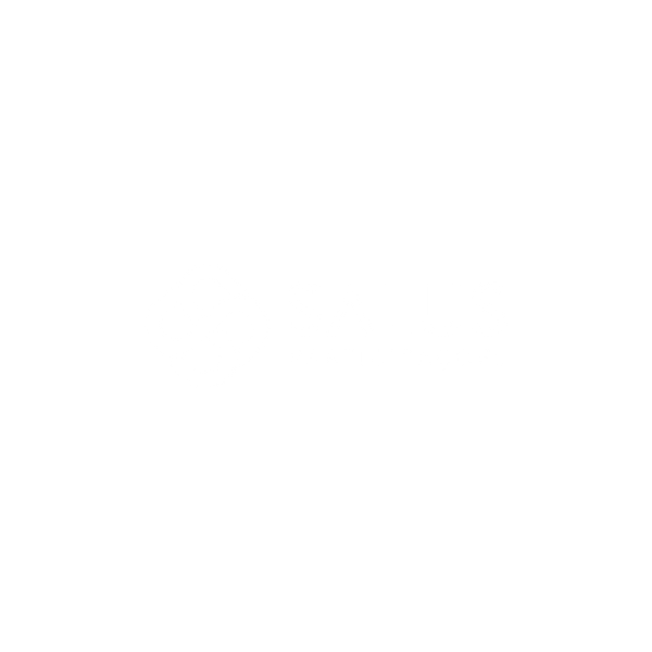 SALUS - Smash Convenções