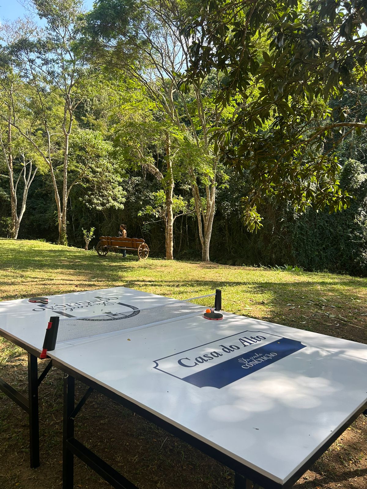 Ping pong