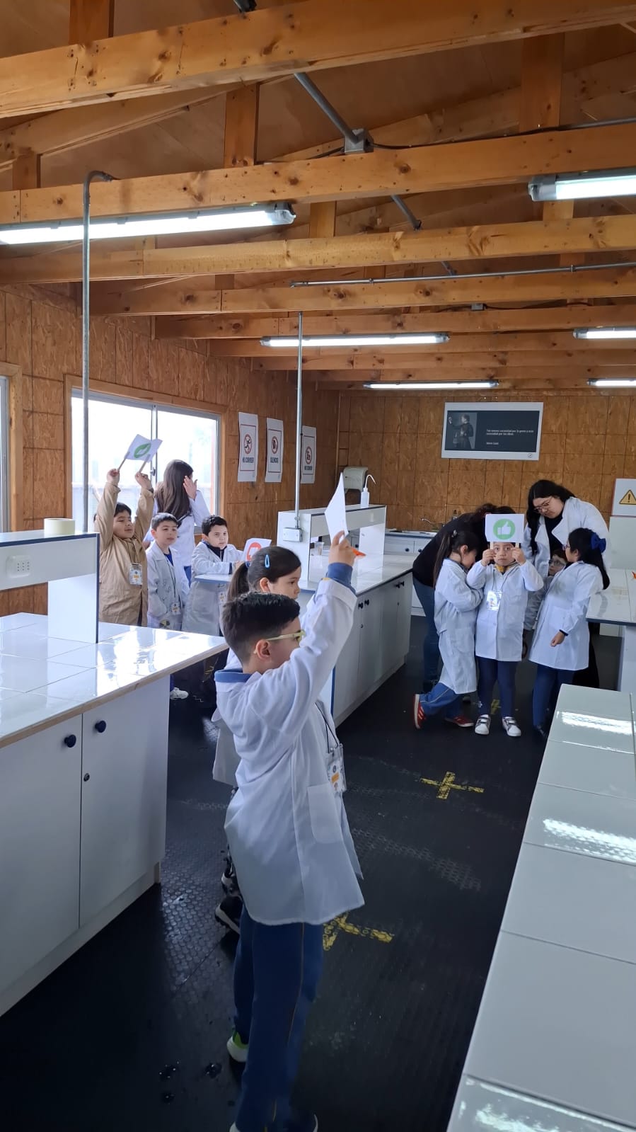 Ciencias en primero basico