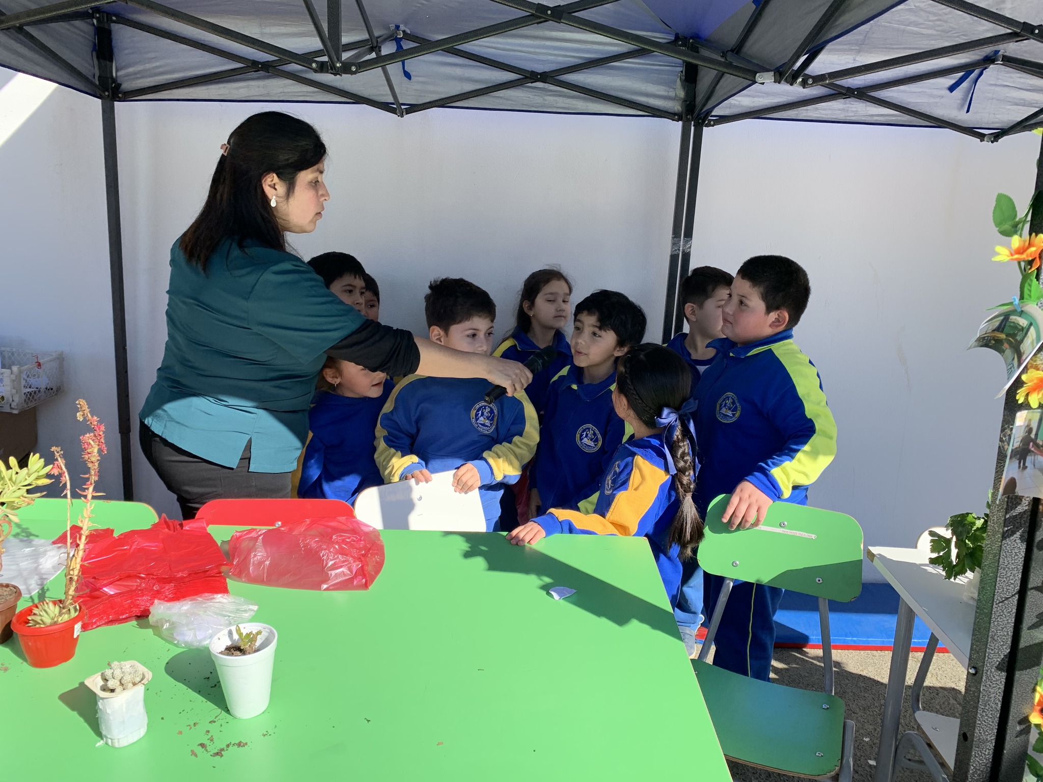 Verduras e invernadero