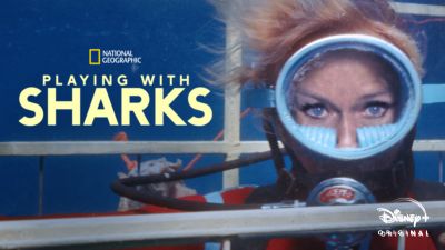 Playing with sharks