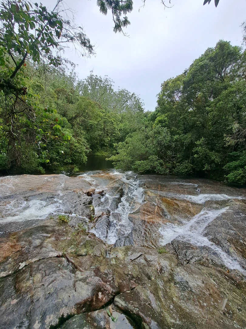 Foto de Trilha Cachoeira da Pedra Riscada - Mogi das Cruzes - Sp