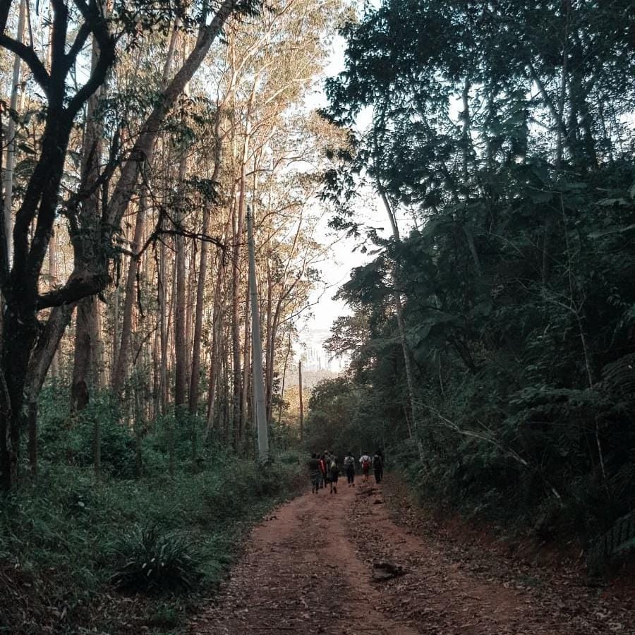 Foto de Caminho do Sal (Paranapiacaba x Mogi das Cruzes)