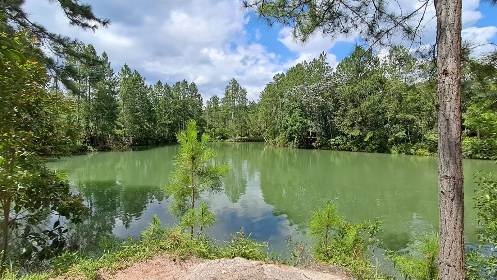 Forró + Lagoa Verde, Biritiba - Mirim - Sp