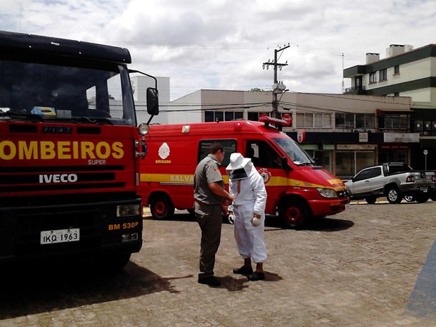 Exposição de riscos que envolve atividades emergenciais com animais