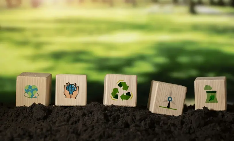 Dia Mundial do Meio Ambiente: Sebrae traz orientações sobre práticas sustentáveis dentro dos pequenos negócios