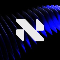 Company logo - Nexus Software Development